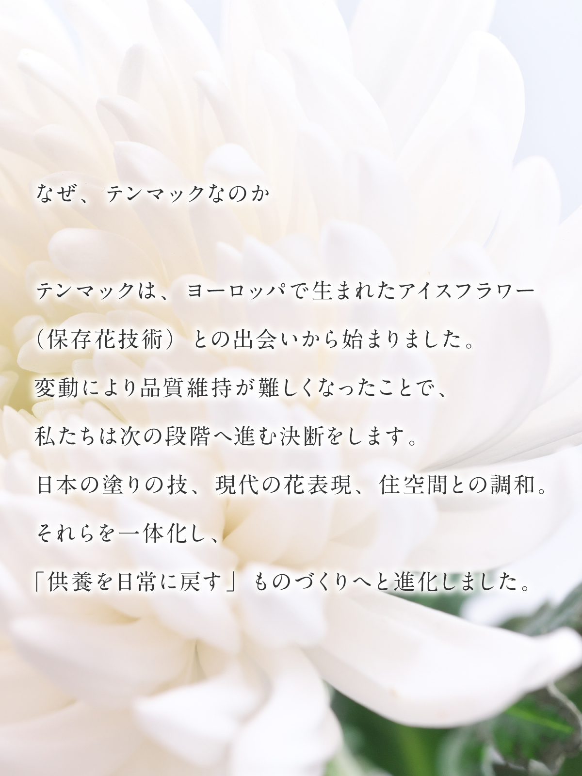 sp_04_20260717113122198.png