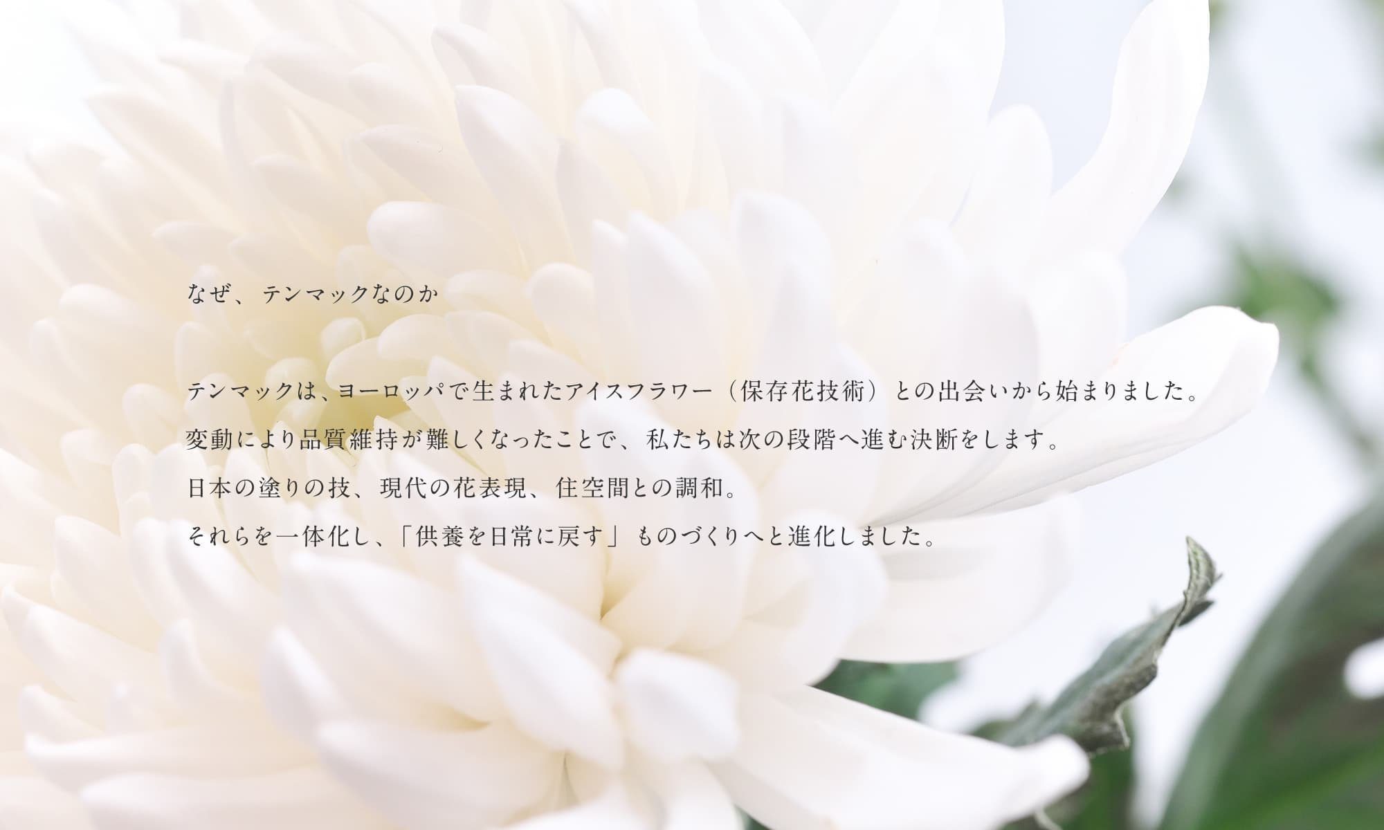04.jpg